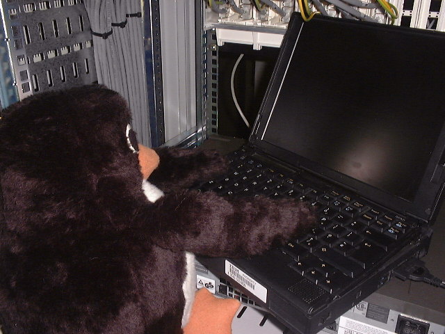 http://ftp.linux.org.uk/pub/linux/evil-penguin-hacking-network.jpg
