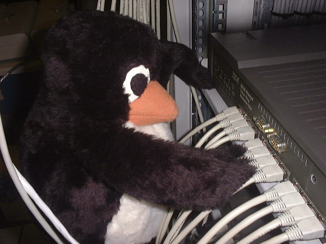 http://ftp.linux.org.uk/pub/linux/evil-penguin-rewires-the-net.jpg